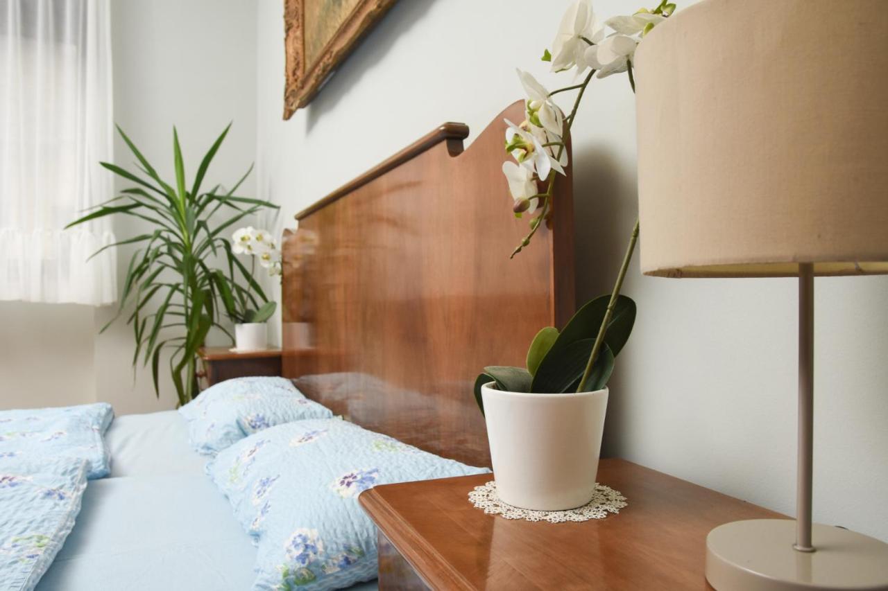 Apartman Woolf Senta Extérieur photo