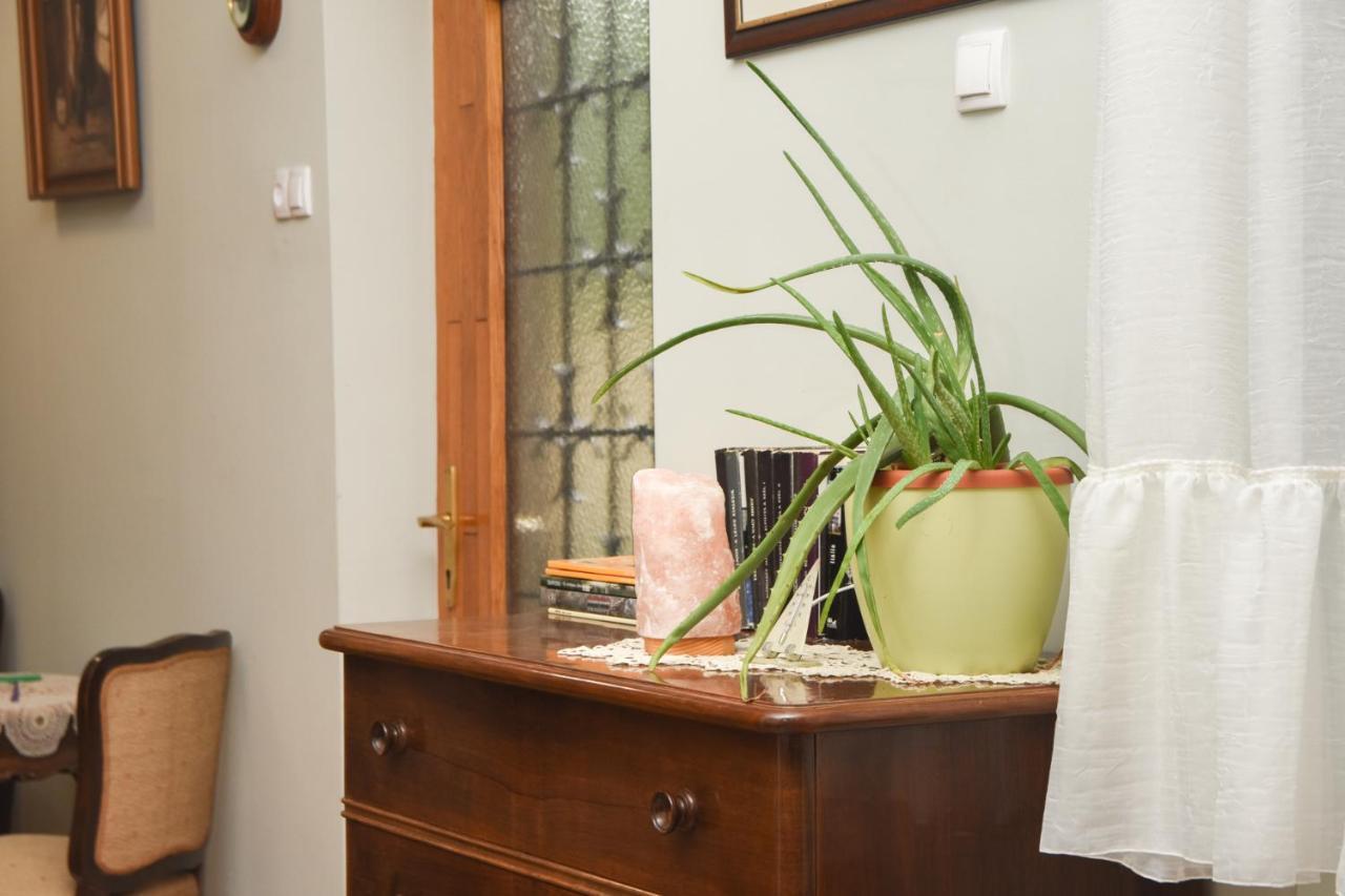 Apartman Woolf Senta Extérieur photo